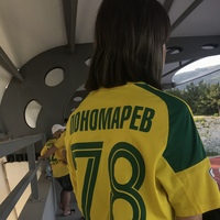 NinODS28