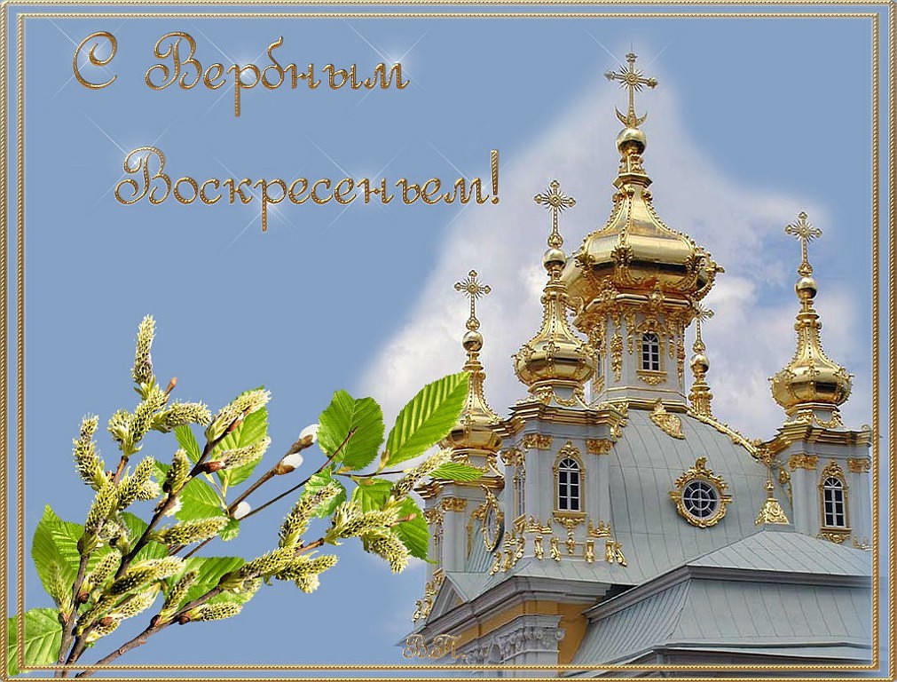 Нажмите на изображение для увеличения.   Название:	image?id=771838558276&amp;t=20&amp;plc=WEB&amp;tkn=*t_h9jFAr6c3hOzQrm3uf8G9Yw6o.jpg  Просмотров:	1  Размер:	215.9 Кб  ID:	62718