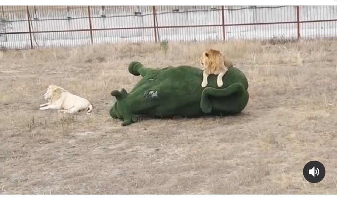 Нажмите на изображение для увеличения.

Название:	Screenshot_20191014-123805__01.jpg
Просмотров:	33
Размер:	198.9 Кб
ID:	120952