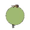 fid-8683.gif