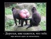 Имя файла=10354239_819367234748641_553580426773634234_n.jpg
Размер файла=52КБ
Размеры=600x465
Дата=Июль 06, 2014 10354239_819367234748641_553580426773634234_n.jpg