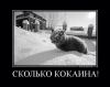 Имя файла=1526937_532140503559482_552777234_n.jpg
Размер файла=37КБ
Размеры=669x535
Дата=Янв 04, 2014 1526937_532140503559482_552777234_n.jpg