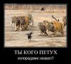 Имя файла=2280869408.jpg
Размер файла=56КБ
Размеры=522x480
Дата=Сент 17, 2014 2280869408.jpg