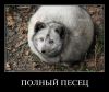 Имя файла=eol7l7o0wrfp.jpg
Размер файла=84КБ
Размеры=800x677
Дата=Янв 25, 2015 eol7l7o0wrfp.jpg