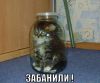 humor_12_15.jpg