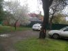 IMG_20170414_090114.jpg