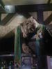Имя файла=Photo-0004..jpg
Размер файла=59КБ
Размеры=600x800
Дата=Нояб 06, 2006 Photo-0004..jpg