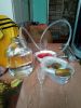 IMG-20170401-WA00145B15D.jpg
