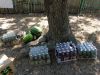 DSC01520.JPG