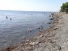 DSC01561.JPG