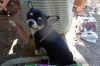 DSC01584.JPG