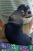 DSC01585.JPG