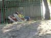 DSC01595.JPG
