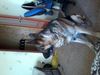 2013-01-25_11_29_31.jpg