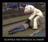 Имя файла=98a726b40f133f62ae7c6197c46a8598.jpeg
Размер файла=70КБ
Размеры=604x531
Дата=Апр 13, 2013 98a726b40f133f62ae7c6197c46a8598.jpeg