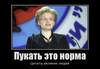 42576520_pukat-eto-norma_thumbnail.png