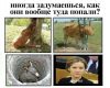 smeshnie_kartinki_138158083023.jpg
