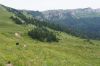 Имя файла=DSC09773.JPG
Размер файла=592КБ
Размеры=2048x1360
Дата=Авг 11, 2014 DSC09773.JPG