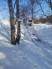 IMG_20160101_112321.jpg